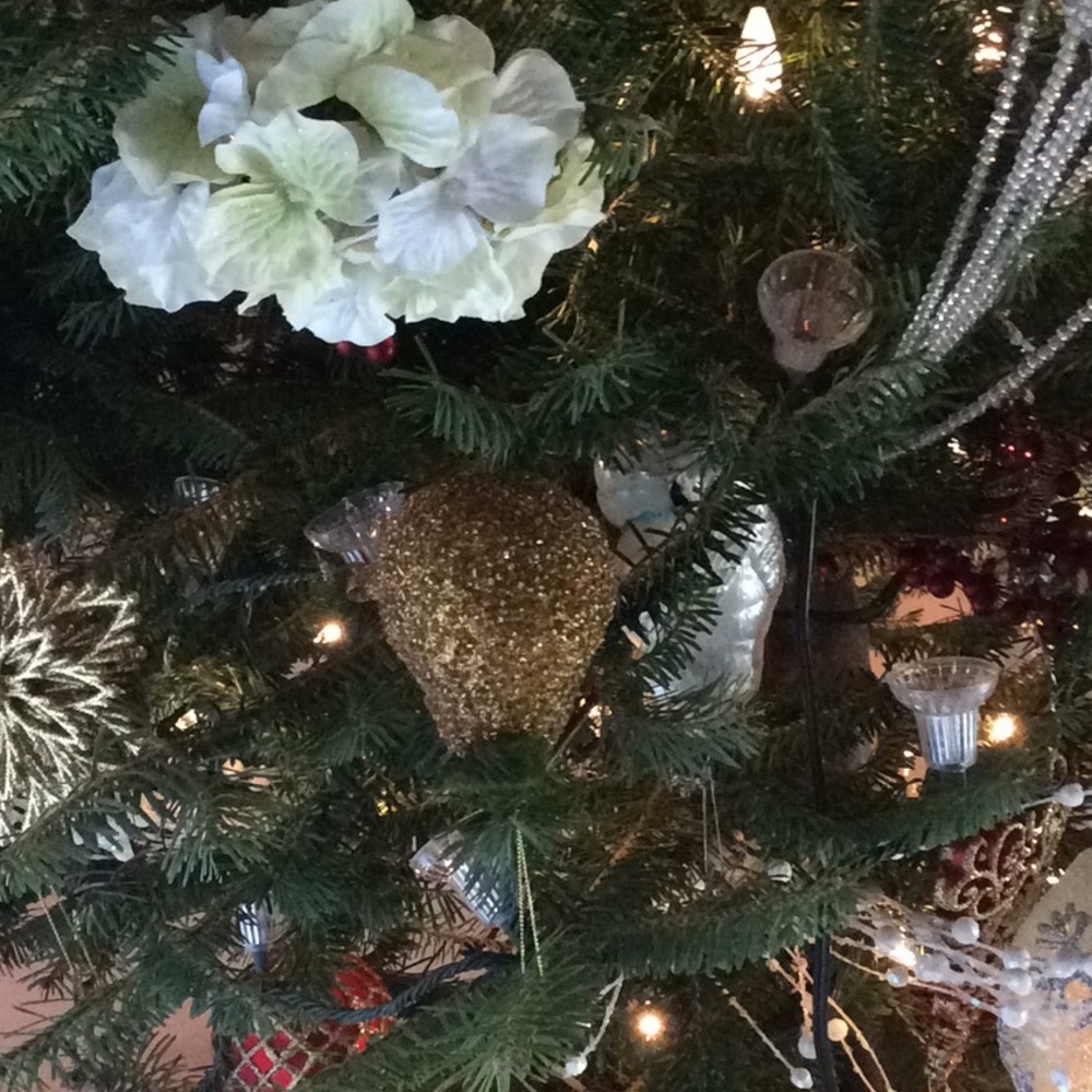 Meet your Posher, Julie